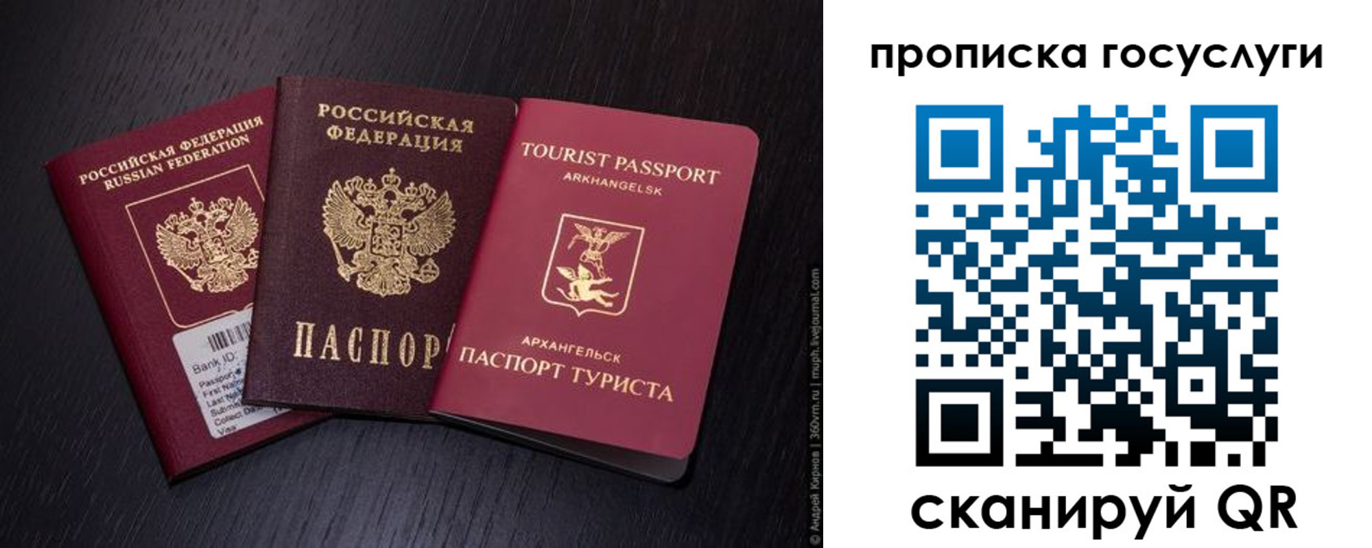 прописка 2025 в Ельце